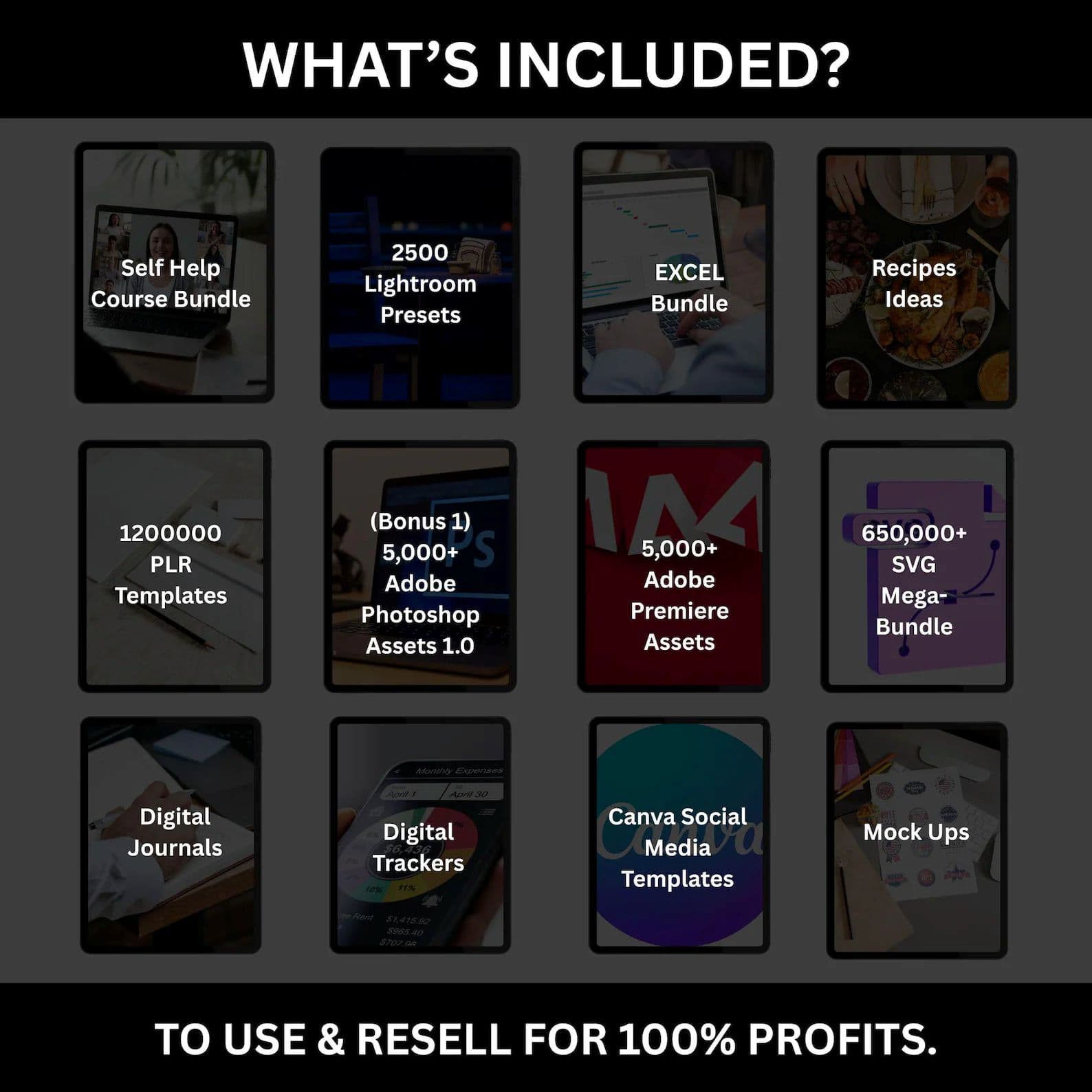 PLR & MRR Bundles thumbnail 4