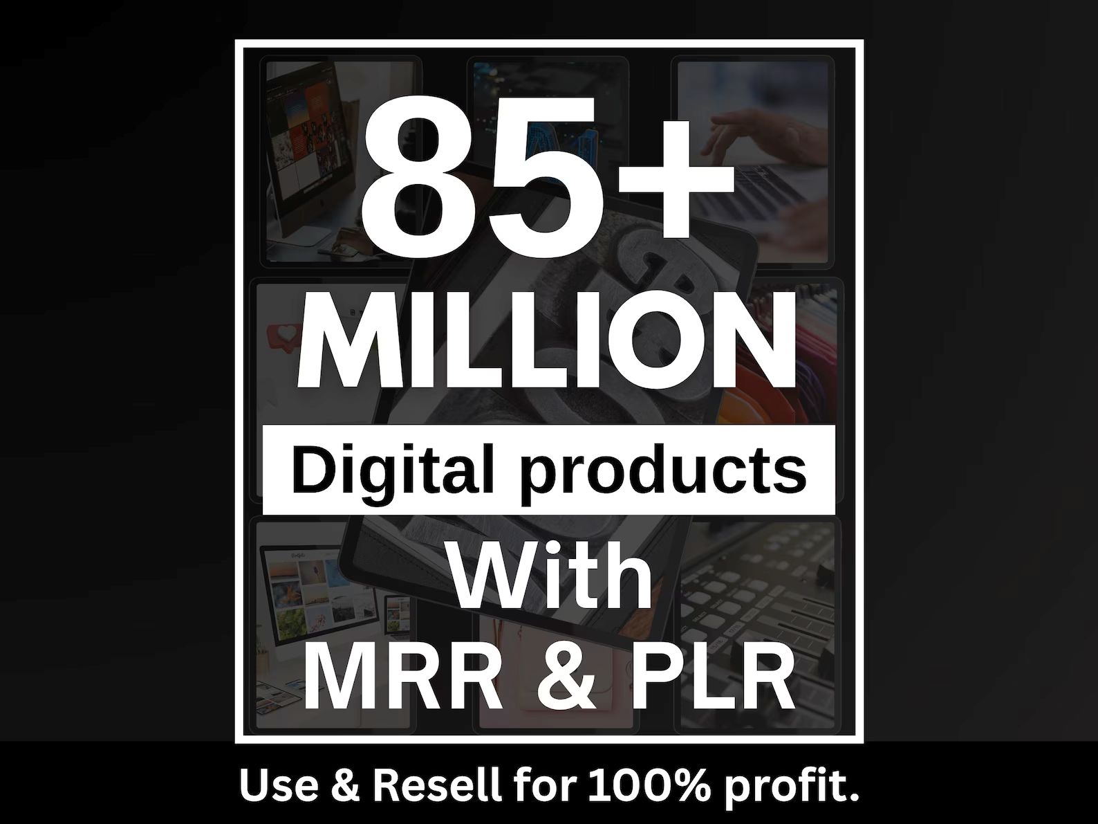 PLR & MRR Bundles